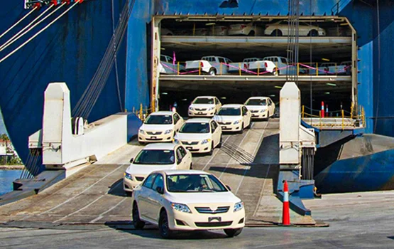 roro-img-2
