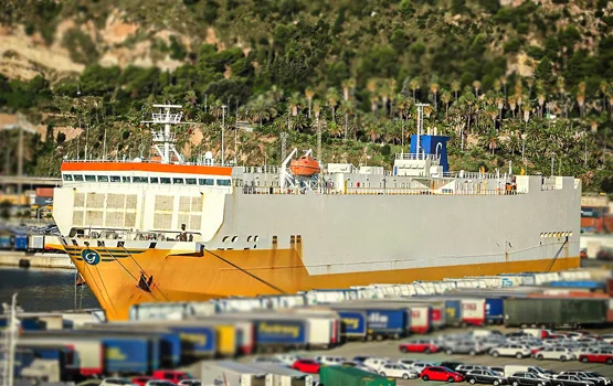 roro-img-4